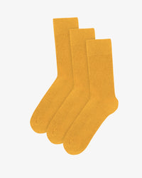 Burned Yellow (3-Pack)