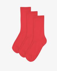 Red Tangerine (3-Pack)