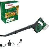 LeafBlower Lithium-Ion (Li-Ion), Souffleur de feuilles